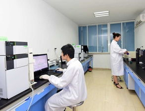 旬陽初 高中生學(xué)子及家長(zhǎng)注意啦 西北地區(qū)全日制消防工程專業(yè),超高薪就業(yè)特招開始啦