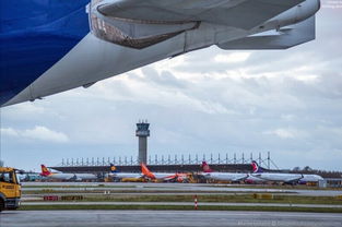 大飛機(jī)怎么造 帶你走進(jìn)世界一流飛機(jī)制造廠(chǎng) 組圖